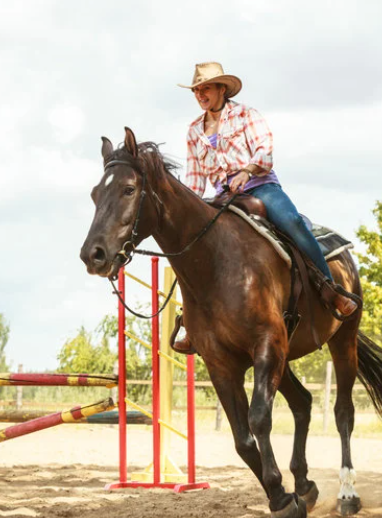 Western Pants, Jeans, & Shorts